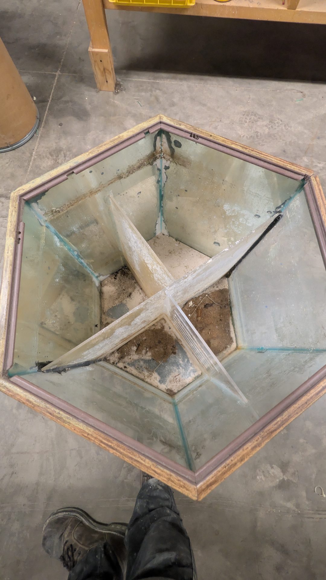 Hexagonal Glass Aquarium Tank with Wood Trim and Light Hood — photo 2